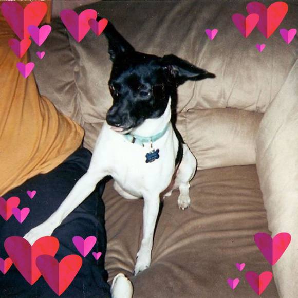 crzy4iluvlucy